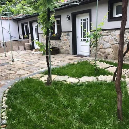 Bed & Breakfast Musala 1